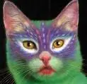 Quite animal testing!