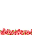 flower divider