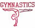 gymnastics rox my sox!!!
