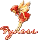 Fyness
