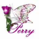 Butterfly Glitter Graphic (Perry)