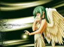 angel vert