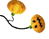 pumpkins