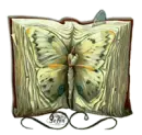 the classic book