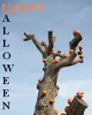 Halloween Tree