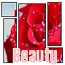 beauty