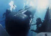 Navy Seals