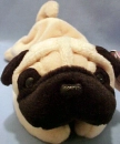 pug