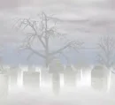 Misty Graveyard.
