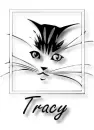 tracy