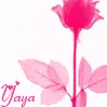 Pink Flower