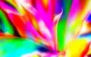 More Color