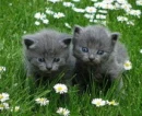 sweet!