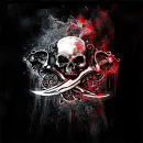 Skull and Swords