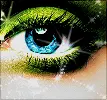 Eye