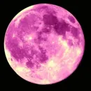 Pink Moon
