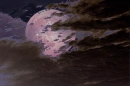 Pink Moon at Night