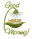 good morning!!!!