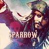 sparrow