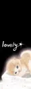 lovely cat