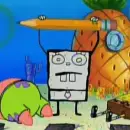 spongedoodle