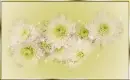 Daisy Frame