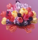 Tulip Bouquet