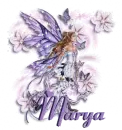 Lavender Fairy - Marya