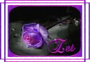Zet