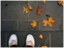 Fall