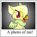 My eyrie Eyrelynna on neopets