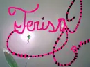 Terisa Flying up