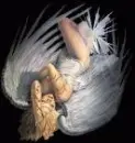 angel