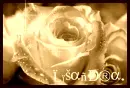 Rosa Blanca.