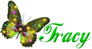 tracy, green fairy, toontime