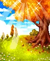 fall tree