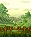 field