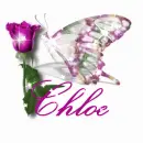 Chloe with glitter butterfly