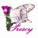 Glitter butterfly with name