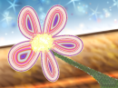 flower in the desert