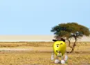 Aussie