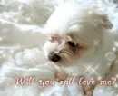 will you...