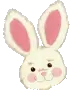 cute bunny face
