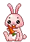 funny bunny