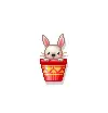 cute bunny