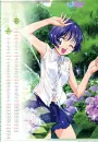 In a Flower Garden