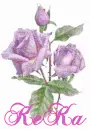 Name