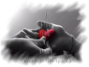 I Give You My Heart