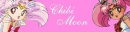 Chibi Moon Banner