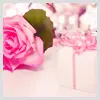 Pink Rose Gift